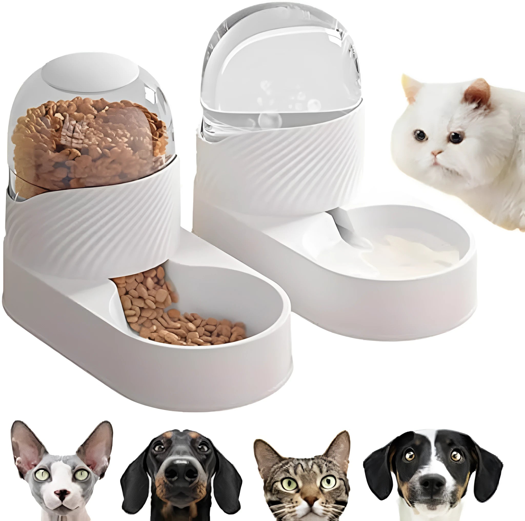 Pure white automatic cat feeder and water dispenser set with wave-shaped design.