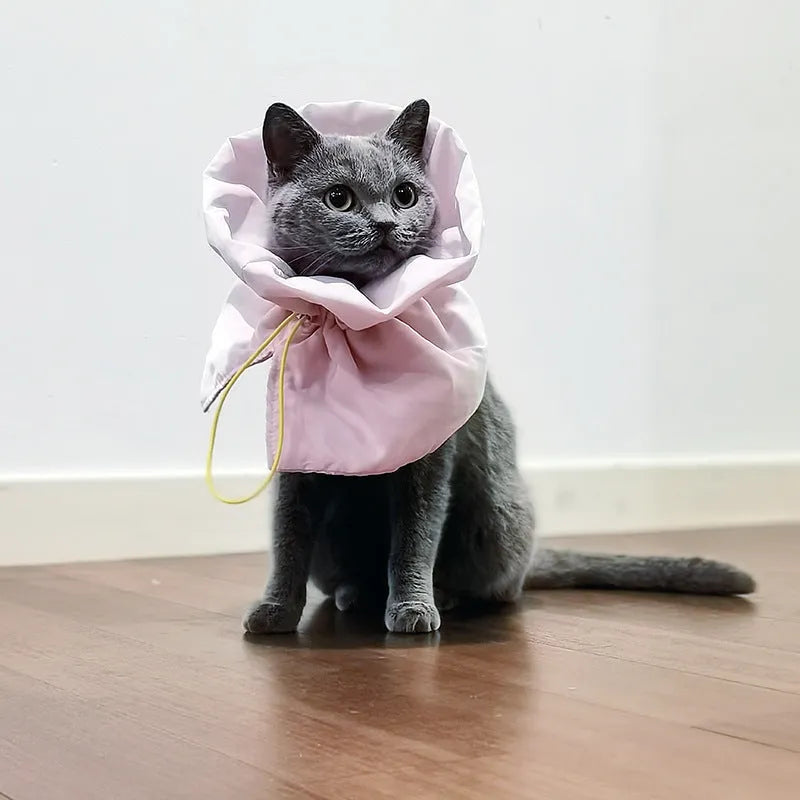 Soft light blue adjustable recovery collar for a cat on a grey background.
