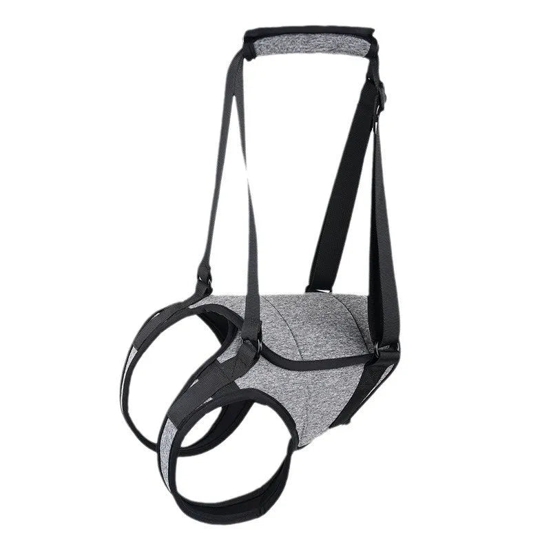 Grey neoprene dog hind leg recovery support belt with adjustable waist and thigh straps