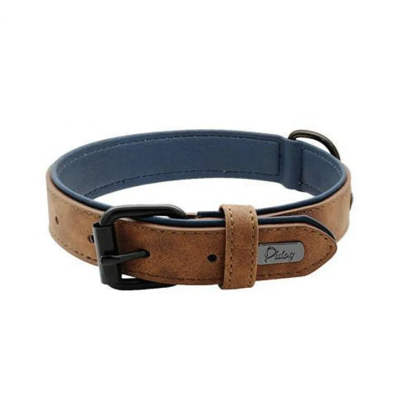 Adjustable double-layer thickened dog collar in purple, showing buckle and D-ring for ID tags.