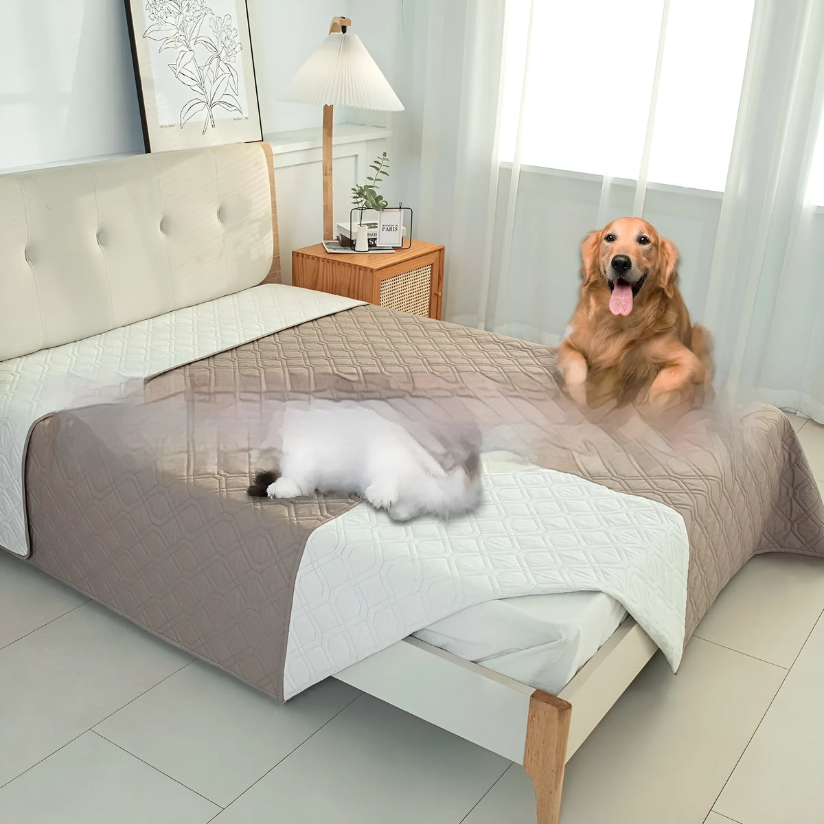 Reversible waterproof dog cushion showing dark grey and khaki colour sides, with size graphic.