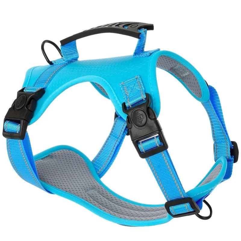 Adjustable dog harness and lead set in various colours with chest strap design