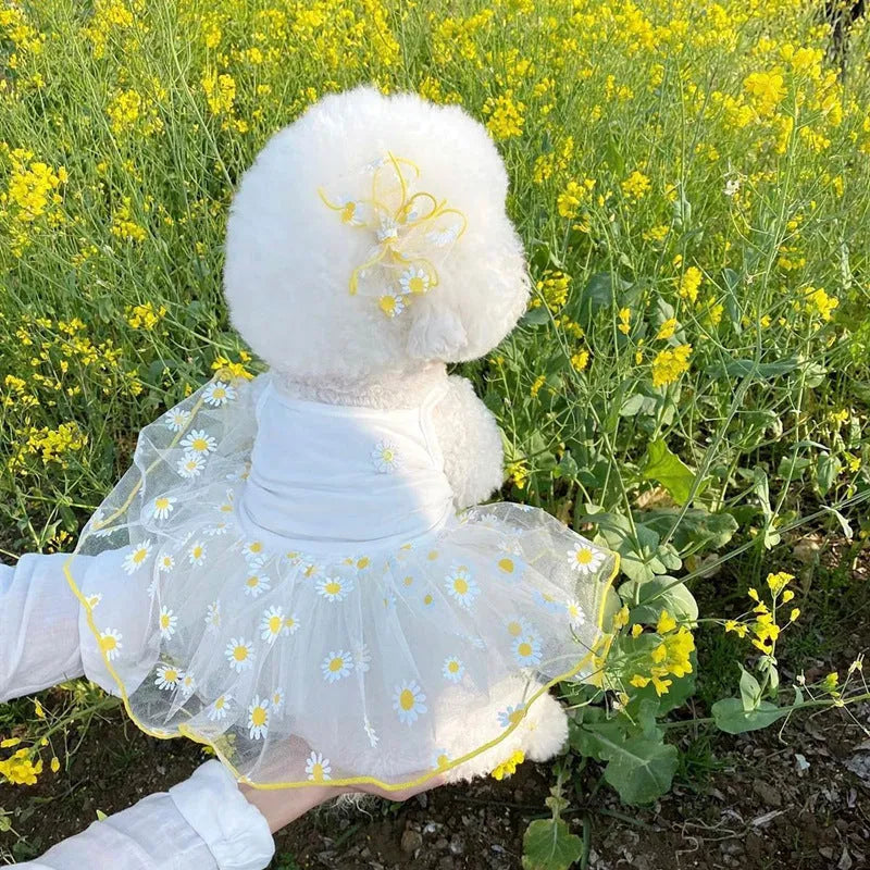 Yellow daisy patterned polyester dog clothes for summer wear in multiple sizes