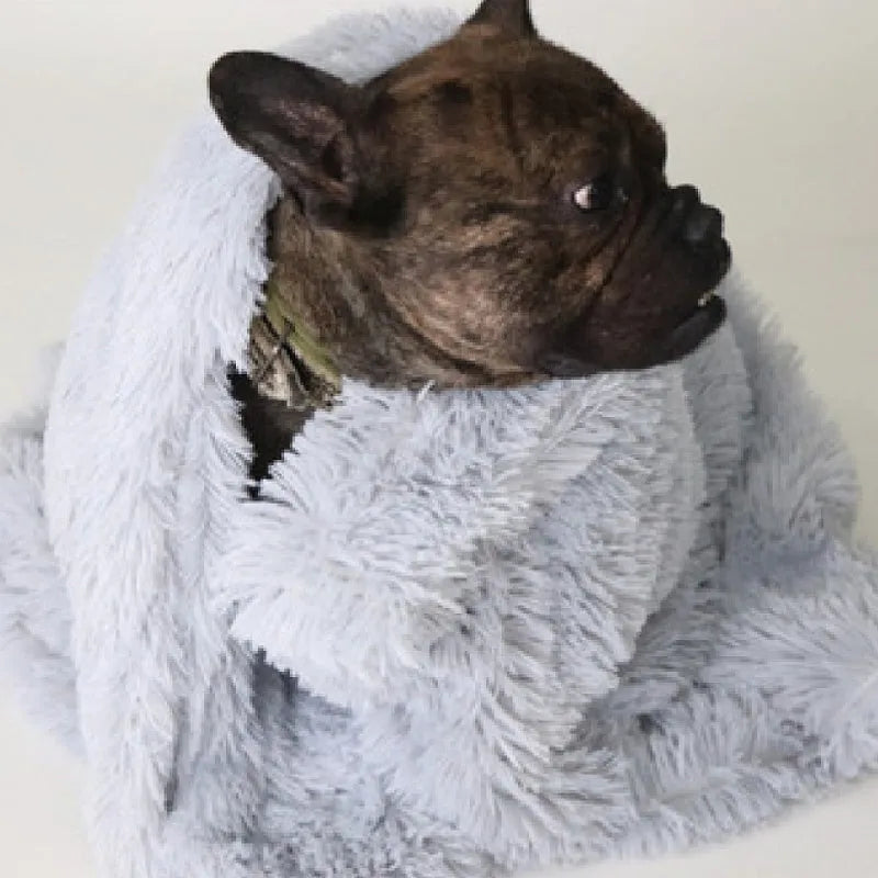 Long plush dark grey pet blanket shown as a dog bed and a reversible floor cushion.
