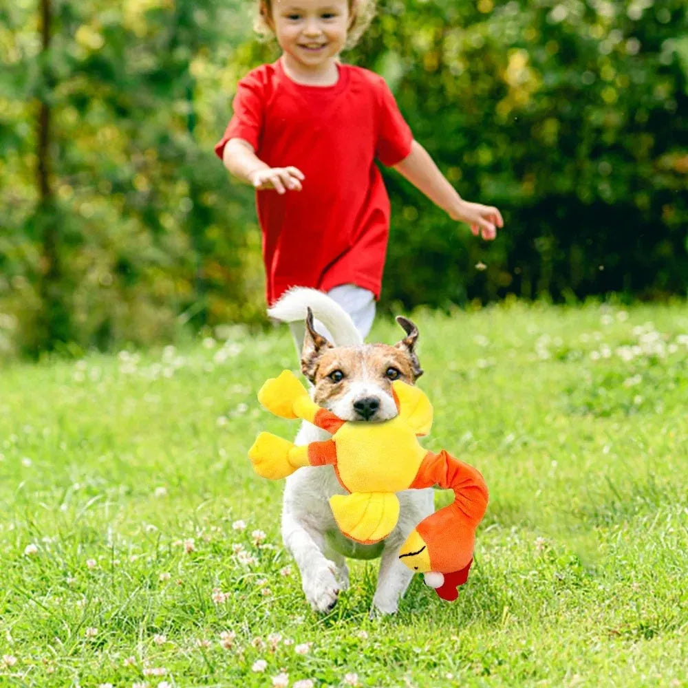 Screaming chicken dog toy with squeaker in black, green or orange rubber