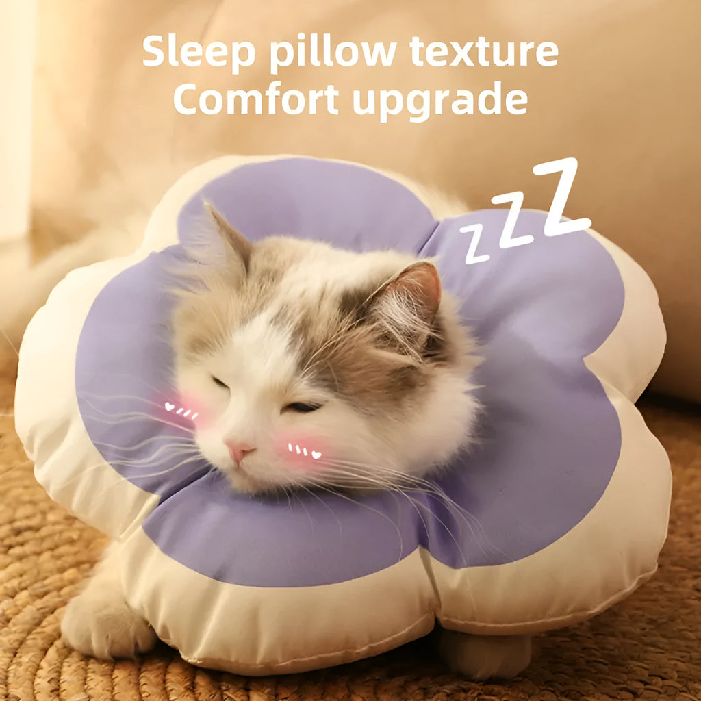 Cotton cat recovery collar with a solar-powered flower, shown in blue on a model, with adjustable fastening.