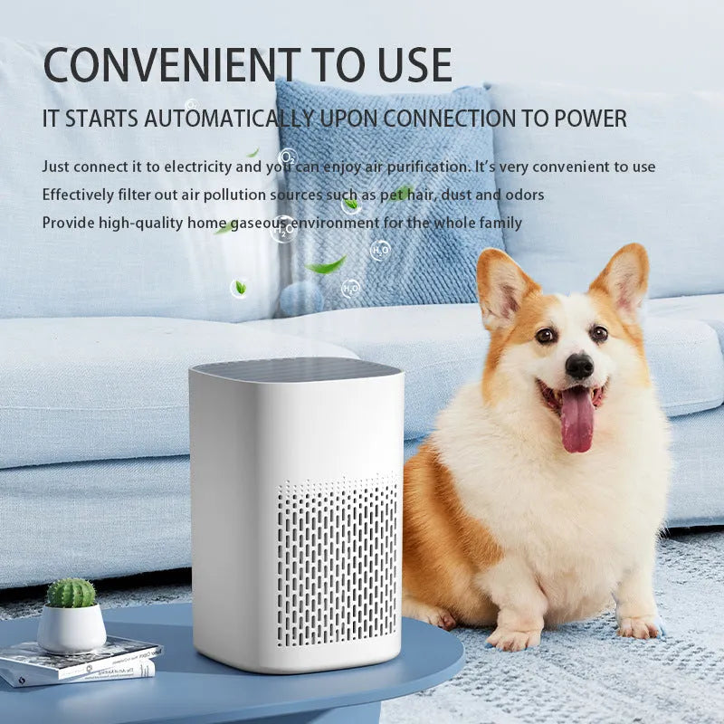 Simple style desktop air purifier with USB connection for small rooms