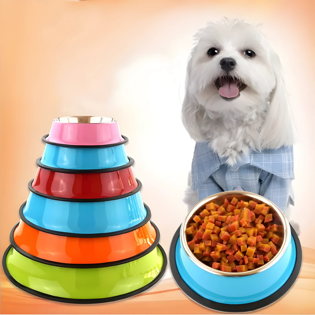 Stainless steel pet bowl inside a colourful melamine bowl, showing non-slip rubber base, in orange colour.