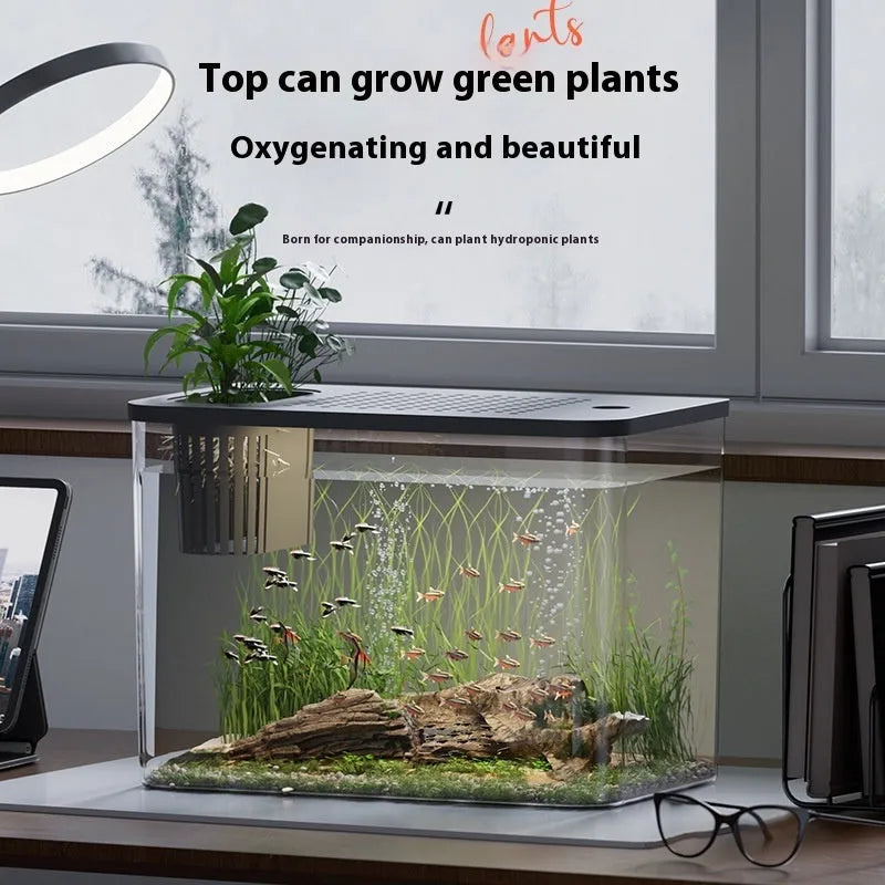 Medium black plastic betta fish tank with a cover on a wooden surface.