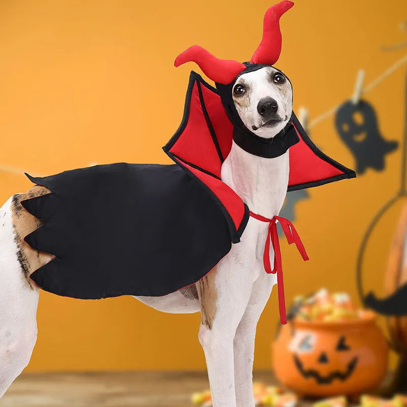 Black vampire cloak and hat pet costume for Halloween on small dog