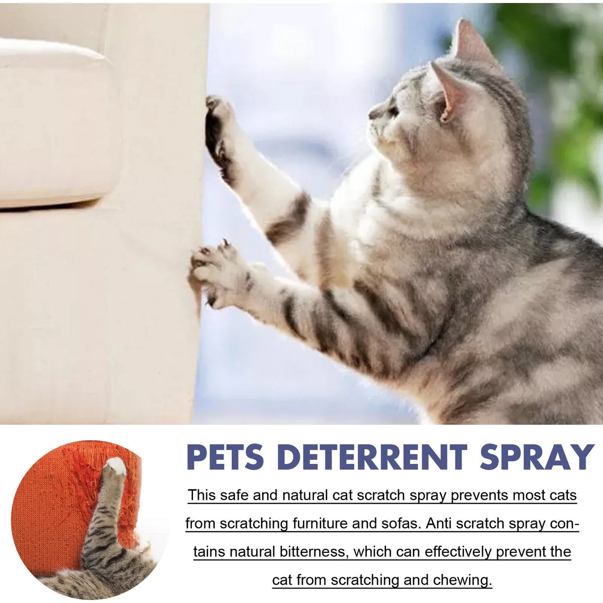50ml pet deterrent spray in box packaging for preventing scratching on doors and sofas