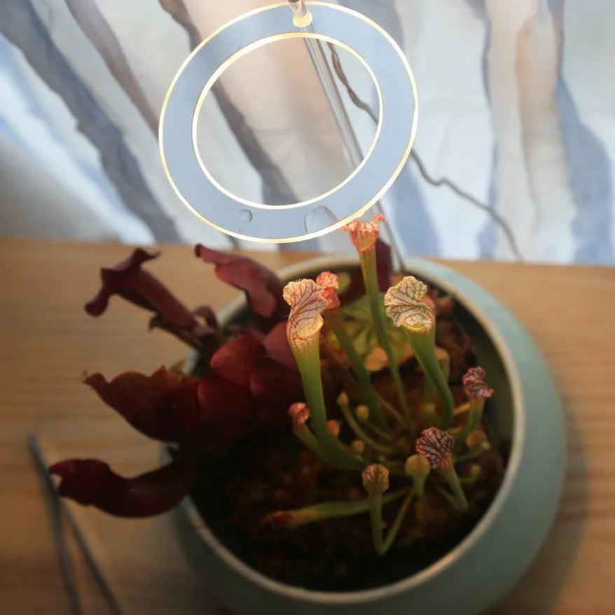 USB LED plant grow light with transparent yellow housing and acrylic mounting stick.