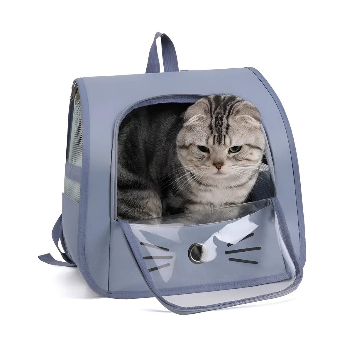 Pet carrier backpack in blue Oxford fabric, 35cm x 35cm x 25cm, with shoulder straps and breathable design for cats and small dogs.