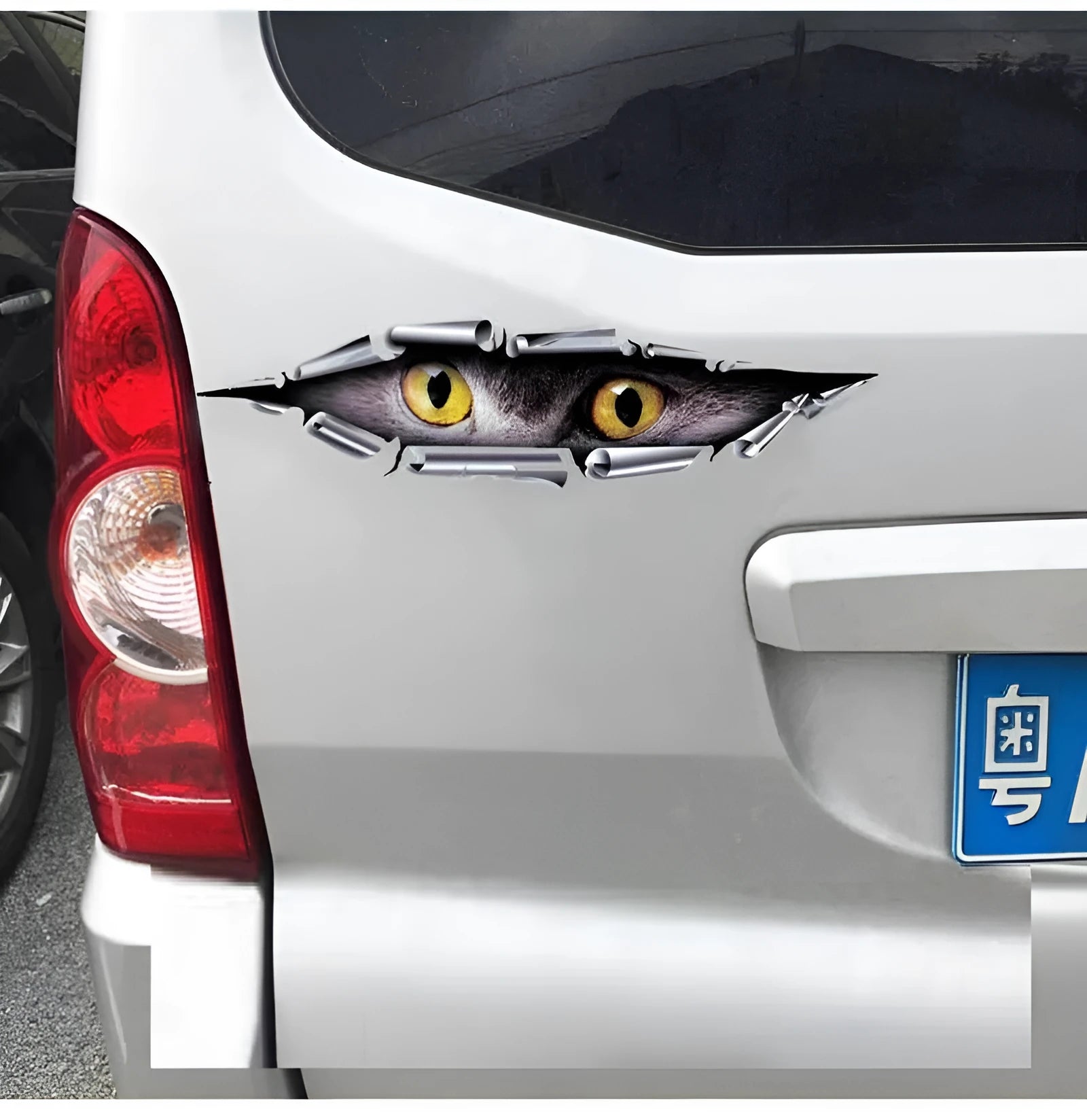 3D tiger eye and eagle eye pattern car door sticker on transparent PVC background