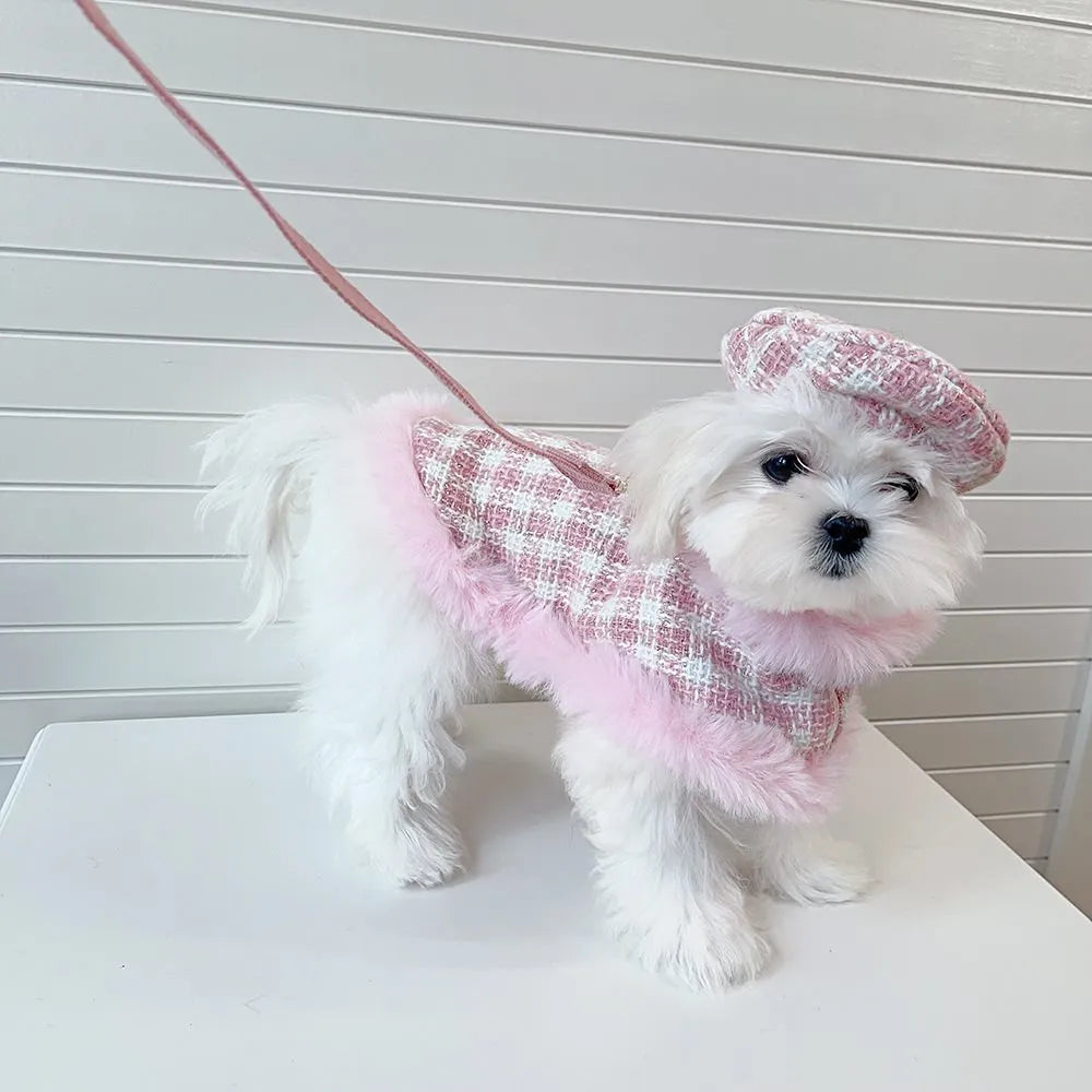 Pink polyester cat costume set with cape, beret, and hand-holding rope leash on feline model