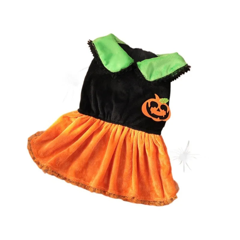 Halloween pumpkin skirt pet costume on a small dog next to a Halloween sweater style variant.