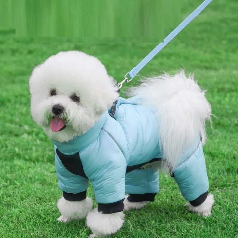 Dog down jacket in black, waterproof cotton, two-leg design for small dogs, sizes S to 3XL