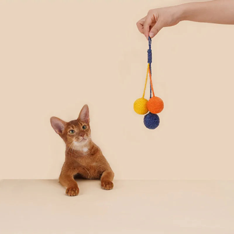 Cat toy set showing bite-resistant catnip ball and 255mm teaser stick in blue, green and multicolour options