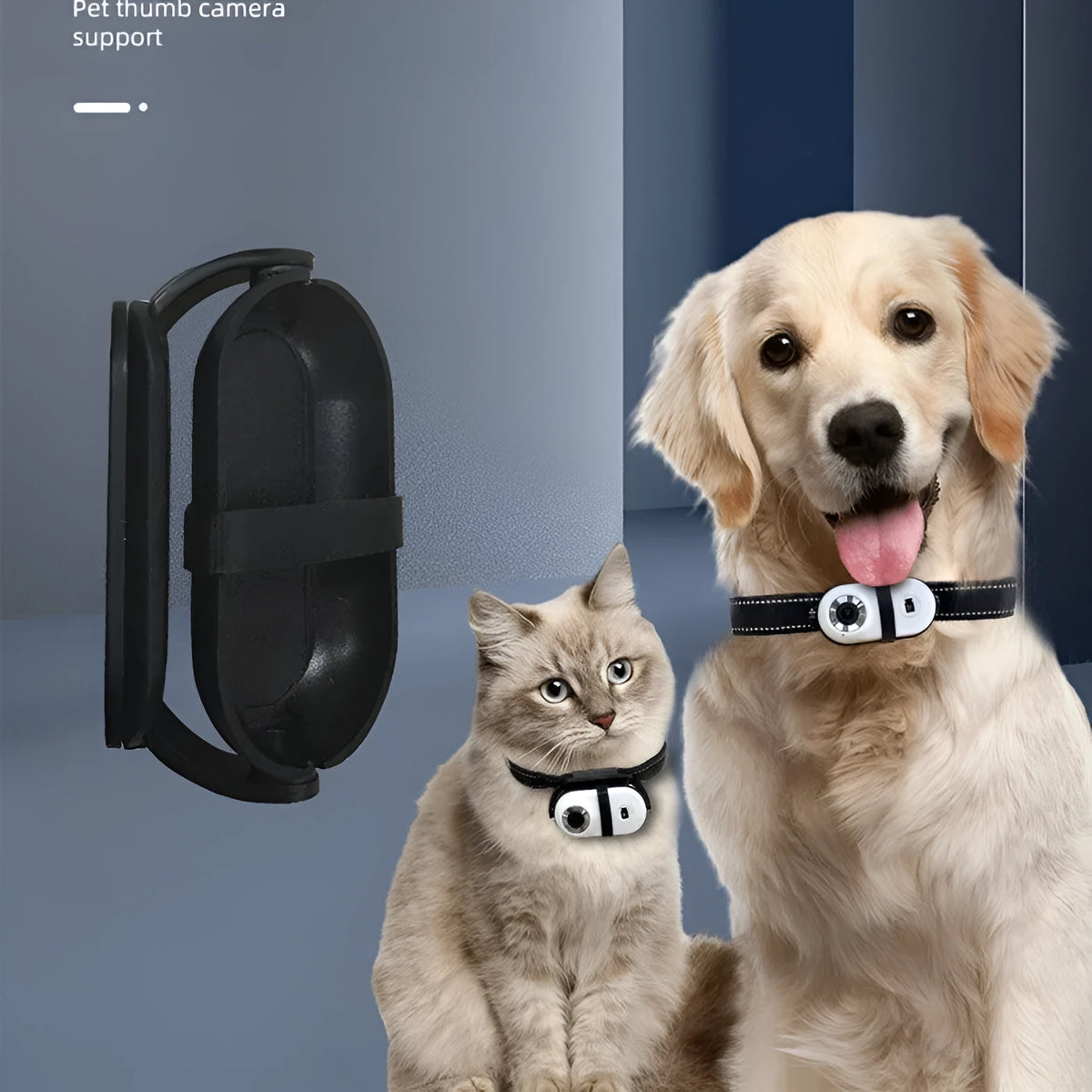 Pet recorder HD mini camera with collar, 63.8 x 31 x 21mm ABS body, white or black, memory options