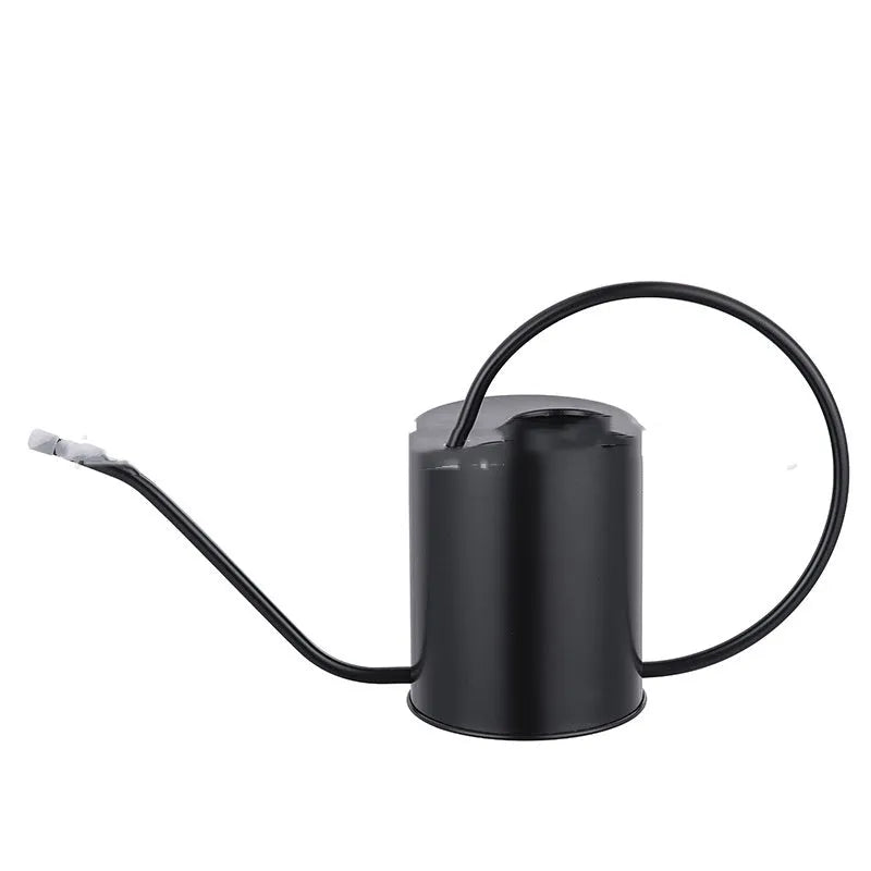 Stainless steel watering can with long spout, 2 litre capacity, shown in black finish