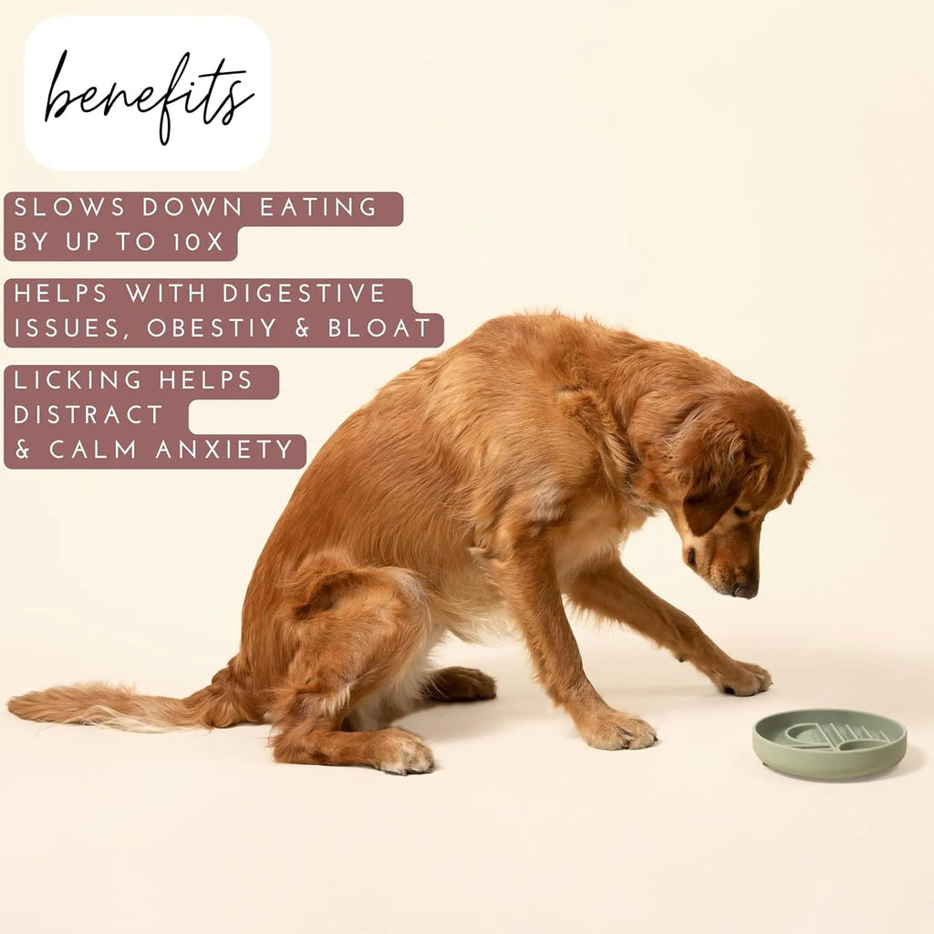 Silicone slow feeder dog bowl with ridges, shown in beige colour, next to dog food.