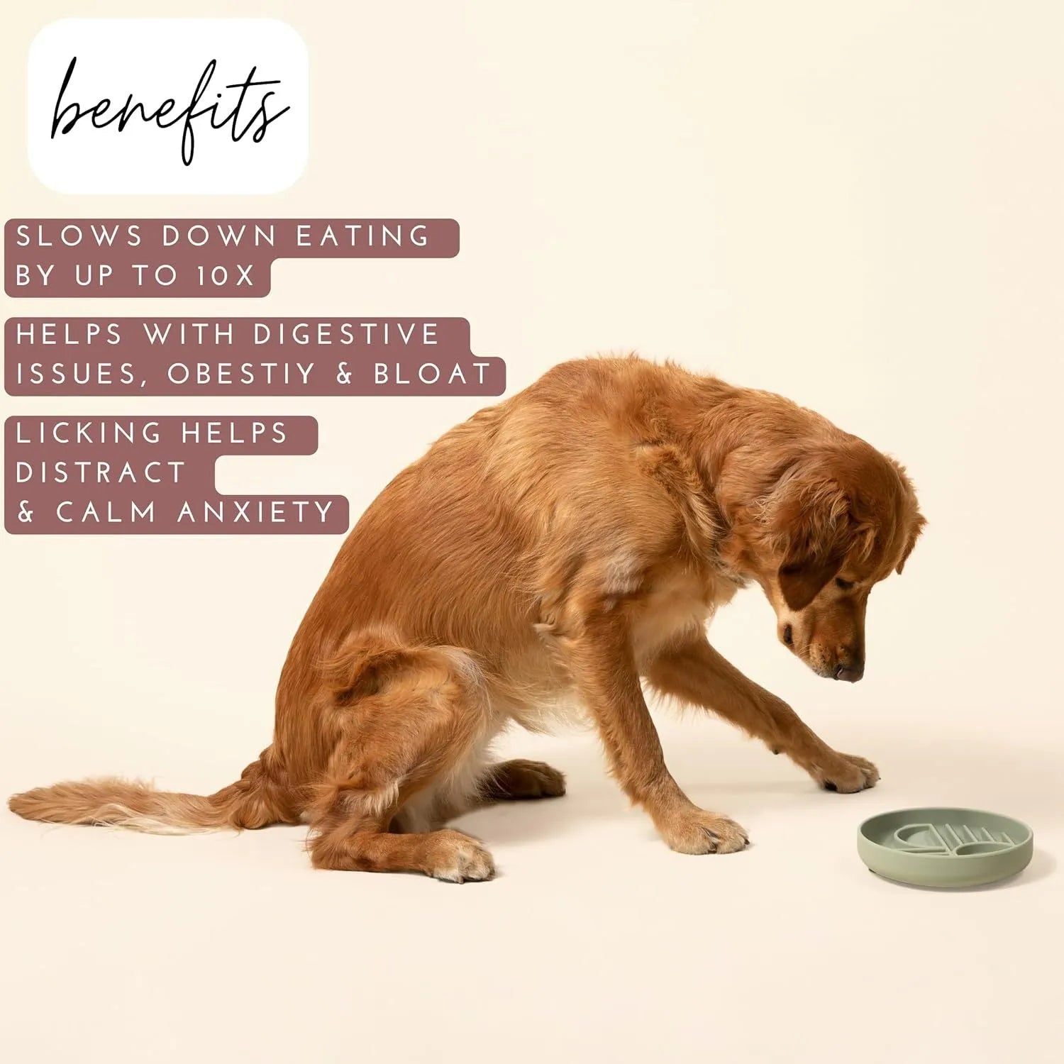 Silicone slow feeder dog bowl with ridges, shown in beige colour, next to dog food.