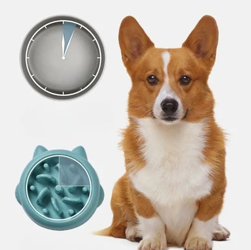 Green bone pattern pet slow feeder bowl made from PP plastic for dogs and cats