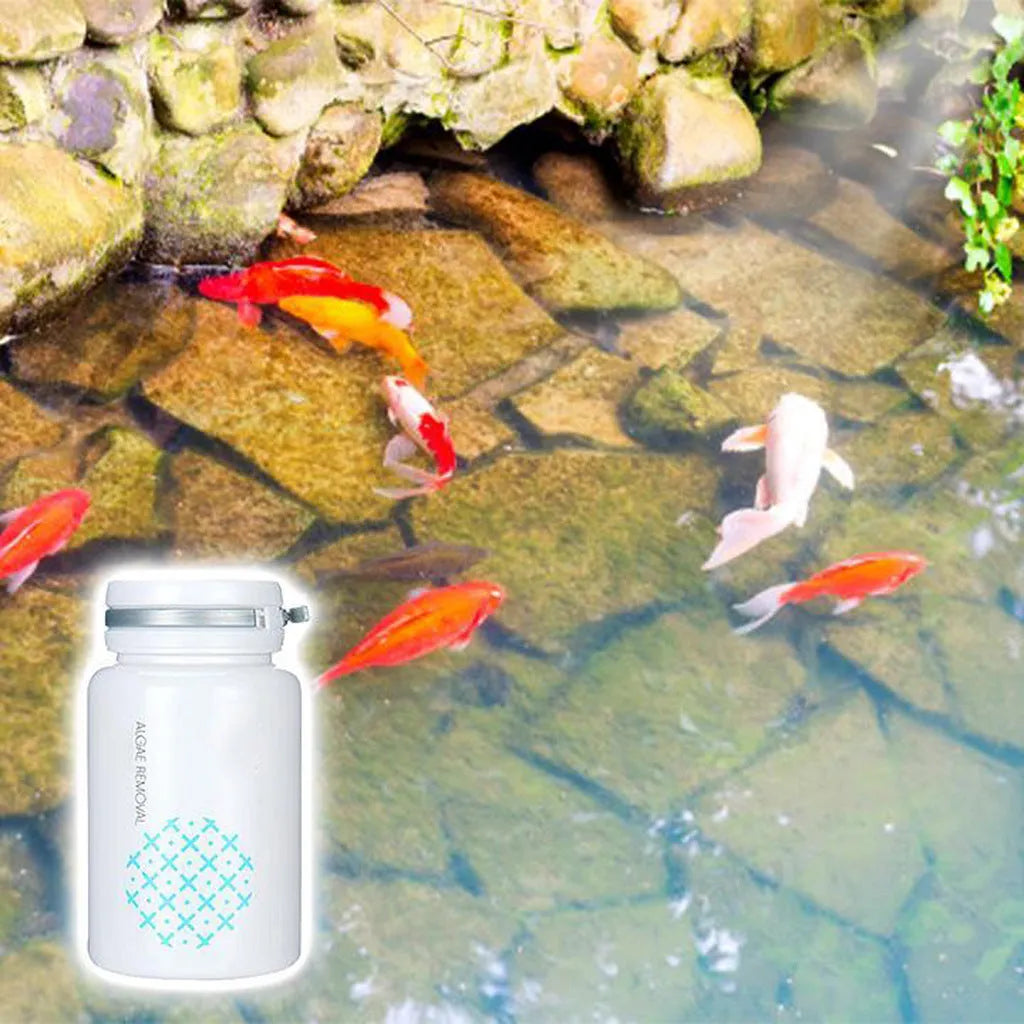 50g swimming pool algaecide container for algae removal and water purification treatment