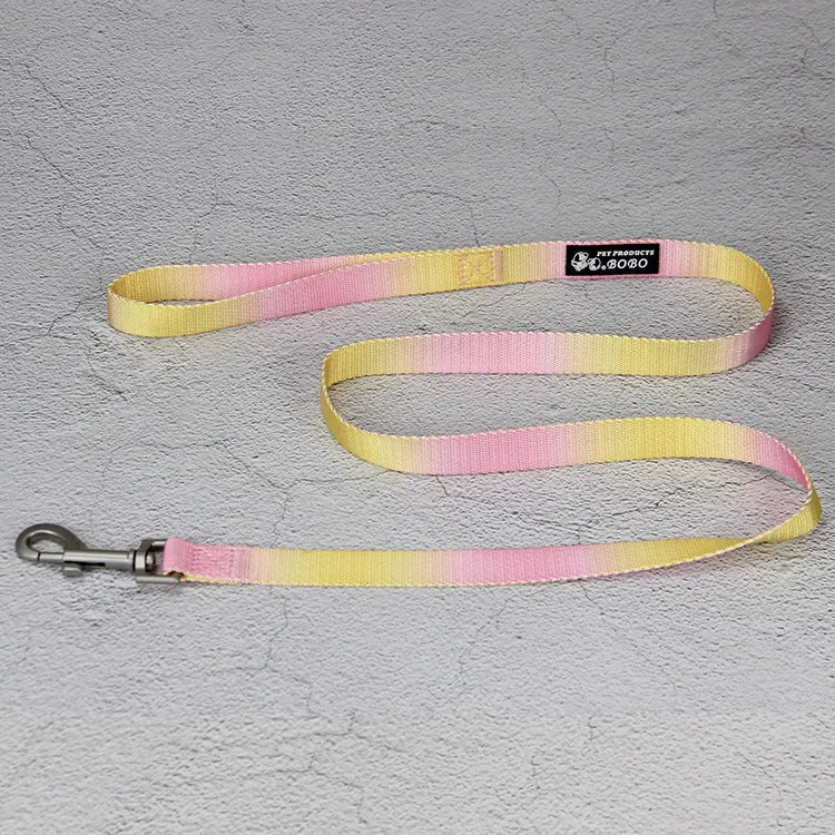 Nylon dog leash and collar set showing gradient colour pattern in pink and blue