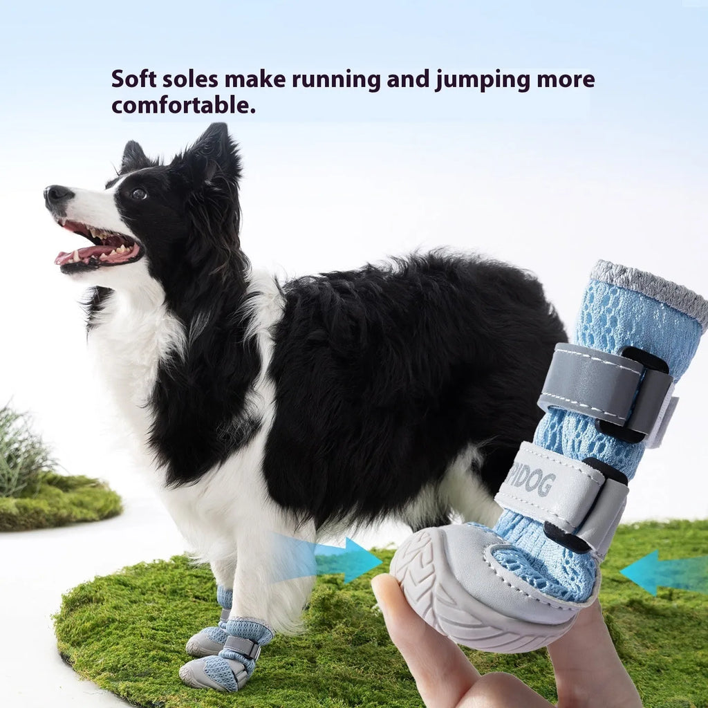 Summer dog shoes in Bondi Blue and Dean Green colours with cartoon design for paw protection