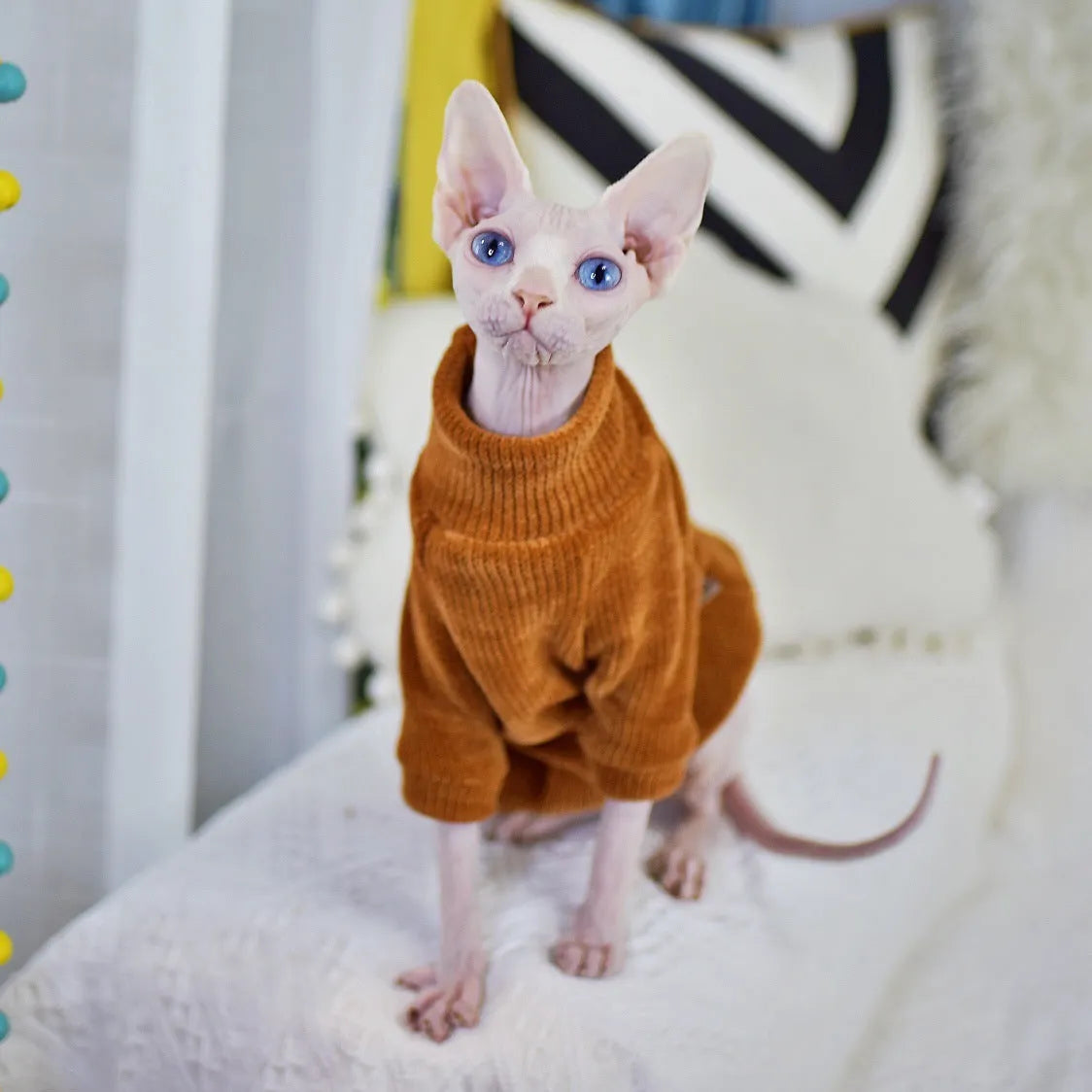 Caramel brown chenille hairless cat jumper, thickened for winter, unisex, sizes XS to XXL.