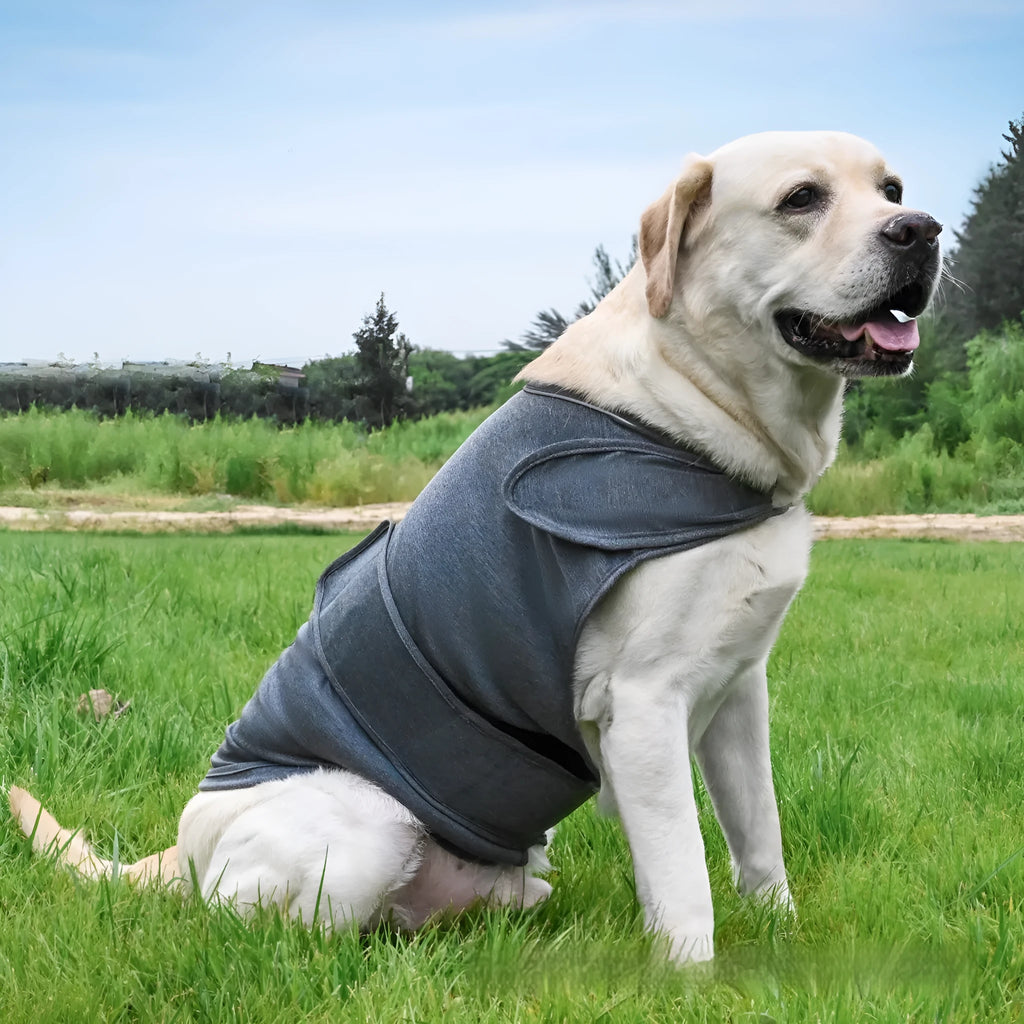 Dog wearing a brown brocade cotton blend anxiety relief tank top for soothing separation stress.