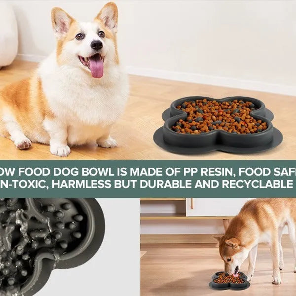 Silicone pet licking pad slow feeder mat in various colours on a floor