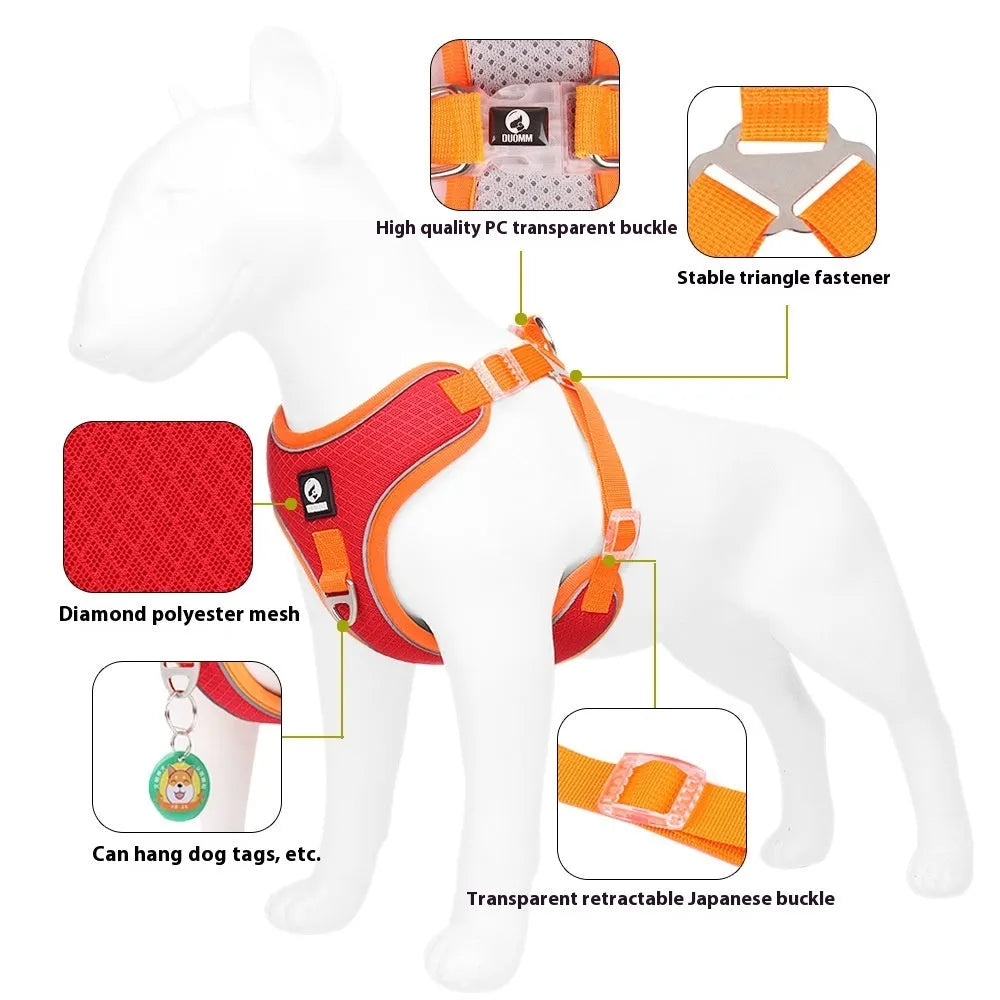 Adjustable breathable mesh dog harness with reflective piping in black, shown on a small dog.