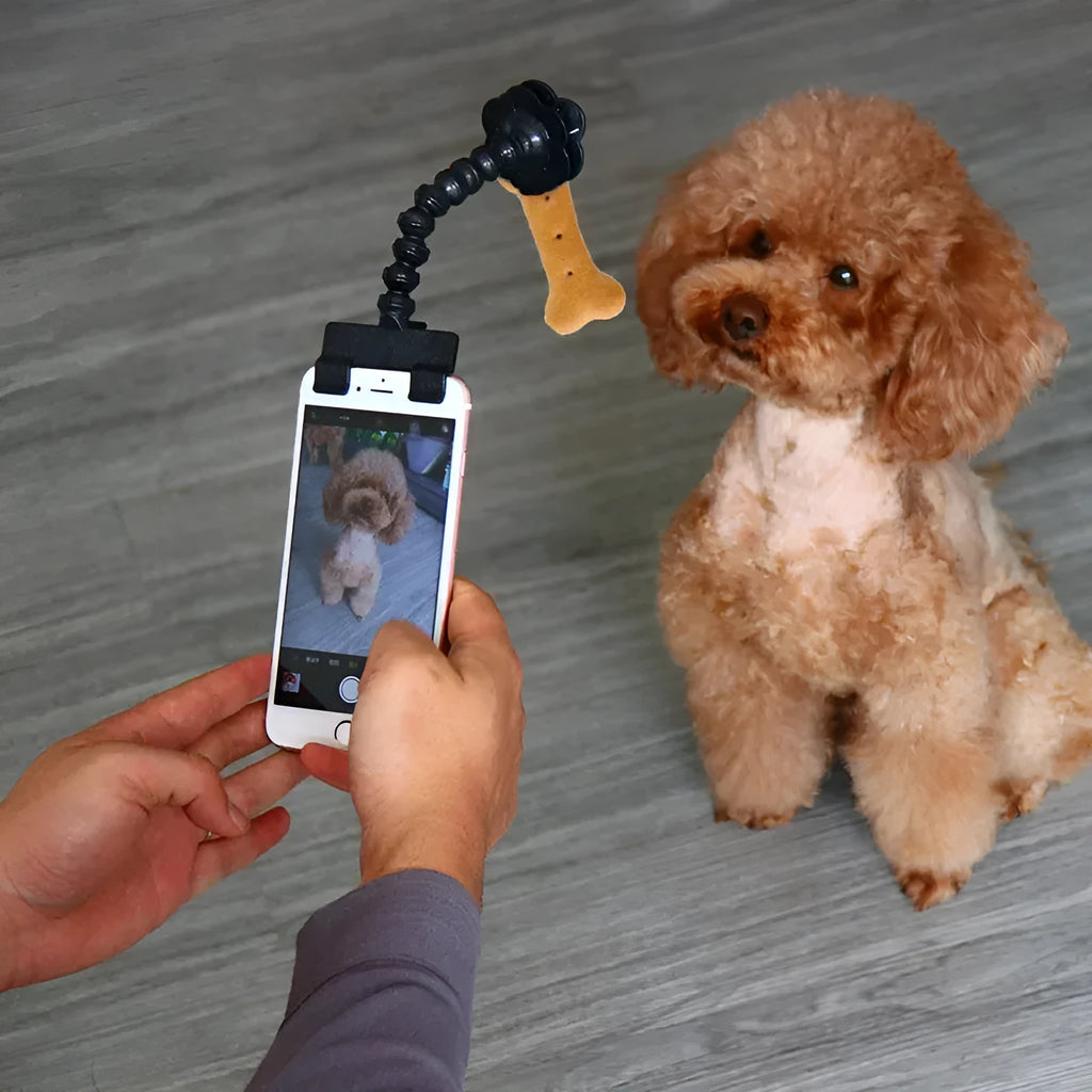 Black pet photography phone holder with treat clip for dog and cat photography sessions