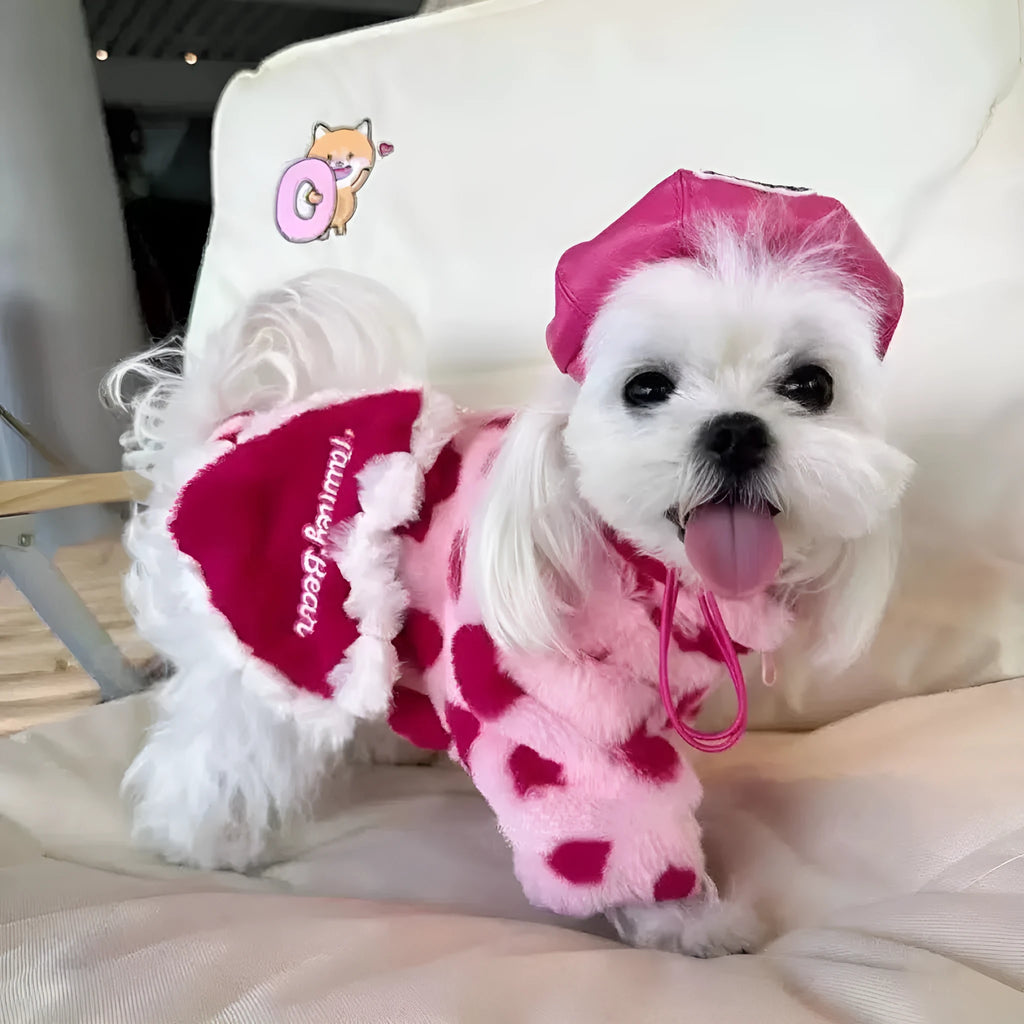 Pink polyester warm coat on small white dog showing British style design