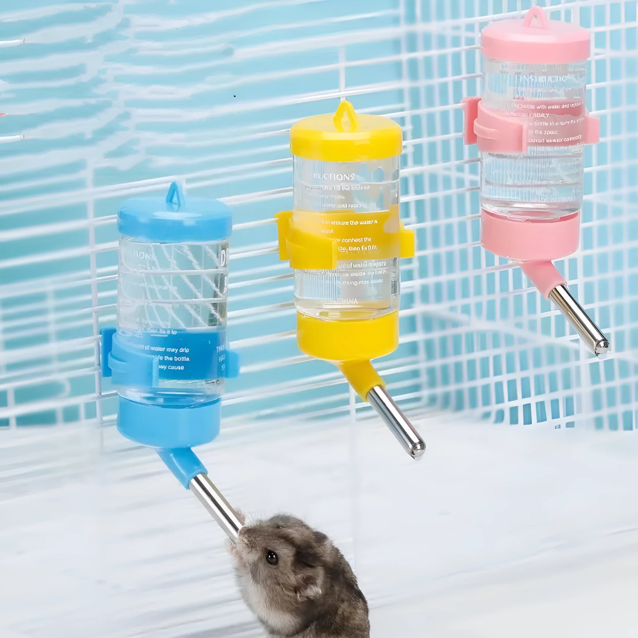 Plastic ball kettle pet water feeder in multiple colours with leak-proof drinking design