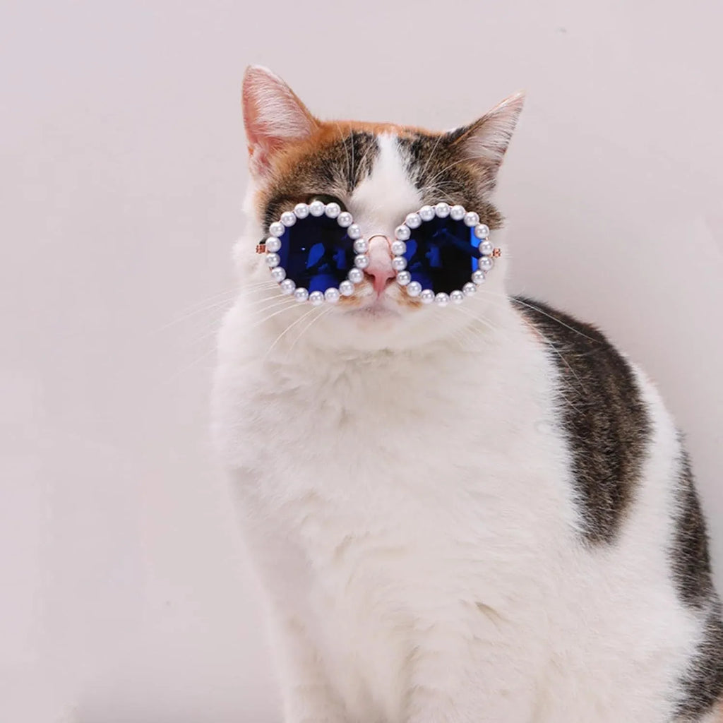 Pearl-rimmed round sunglasses for cats and dogs in multiple colours as costume accessories
