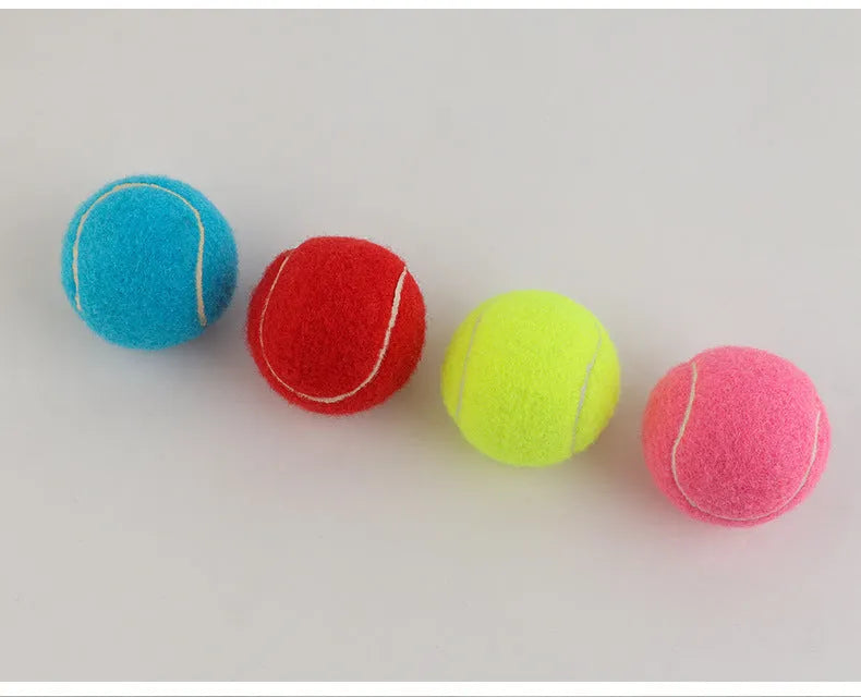Assorted bright pink, blue, green, yellow, orange, and red rubber dog tennis balls, 6.3cm in diameter.