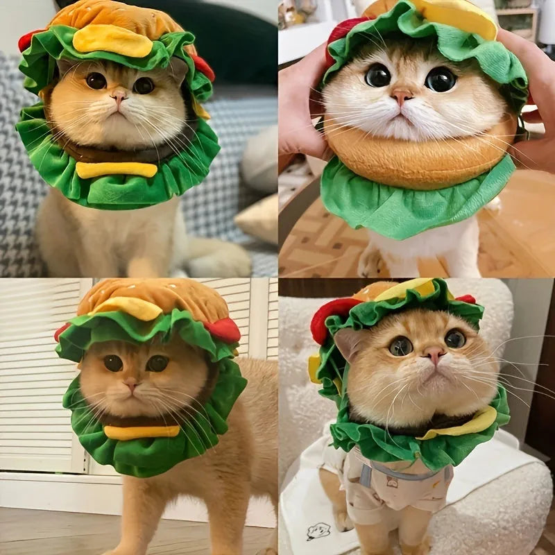 Colourful burger costume hat for cats on a cone collar base in three sizes