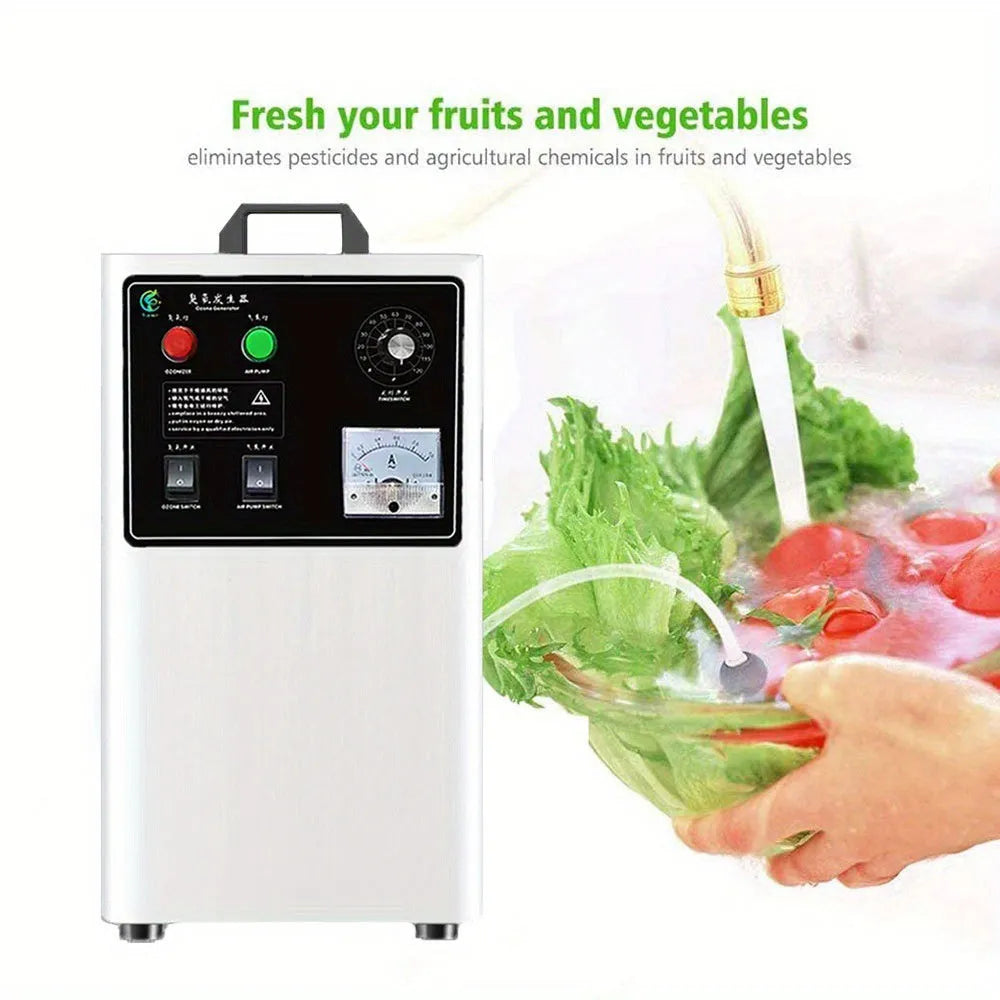 Fruit and vegetable ozone generator machine with 20g/h output in stainless steel or white finish
