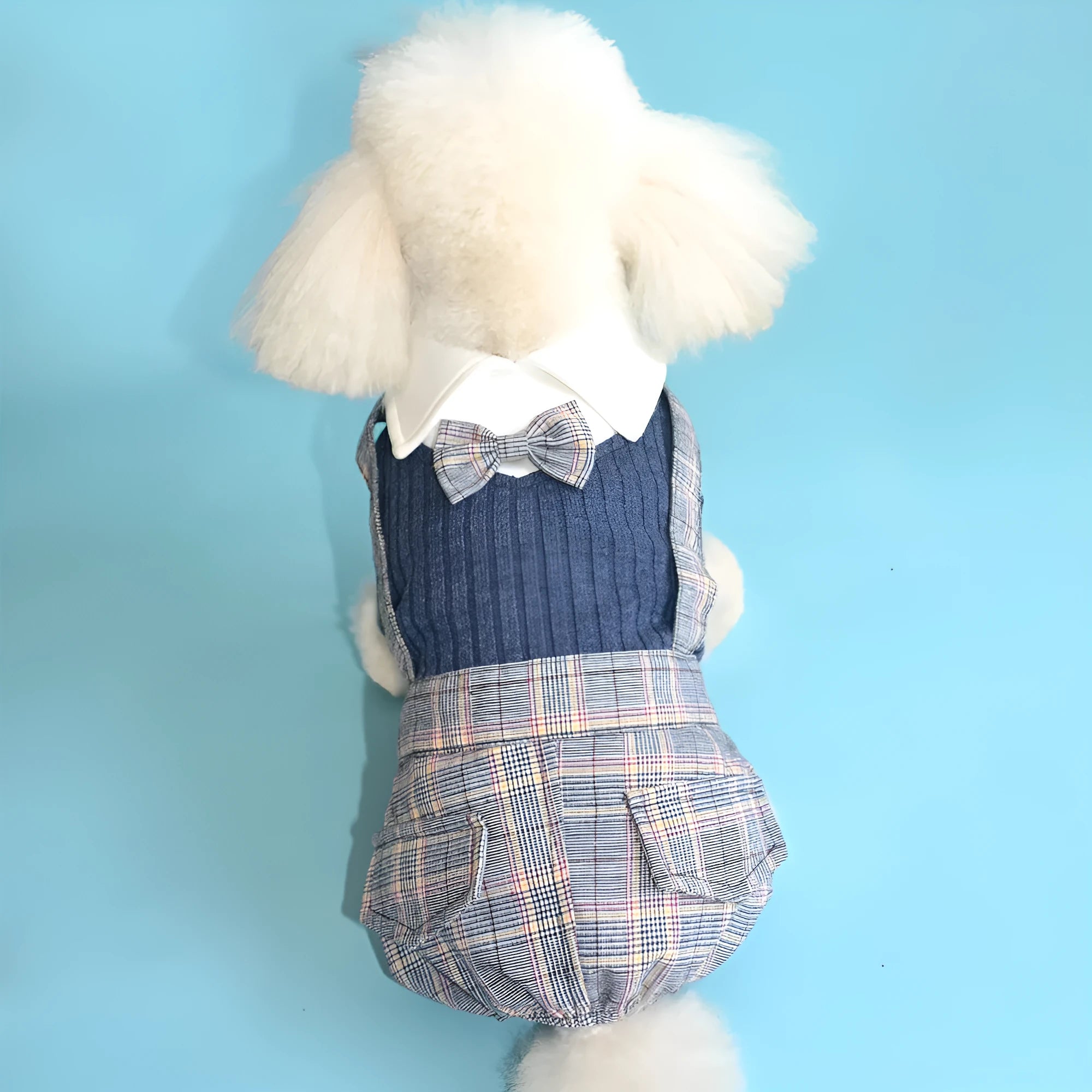 Orange and dark blue cotton dog shirt for small dogs showing size options S to 2XL