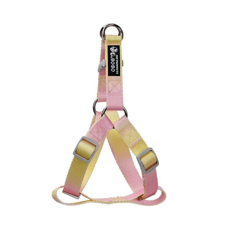 Nylon dog leash and collar set showing gradient colour pattern in pink and blue
