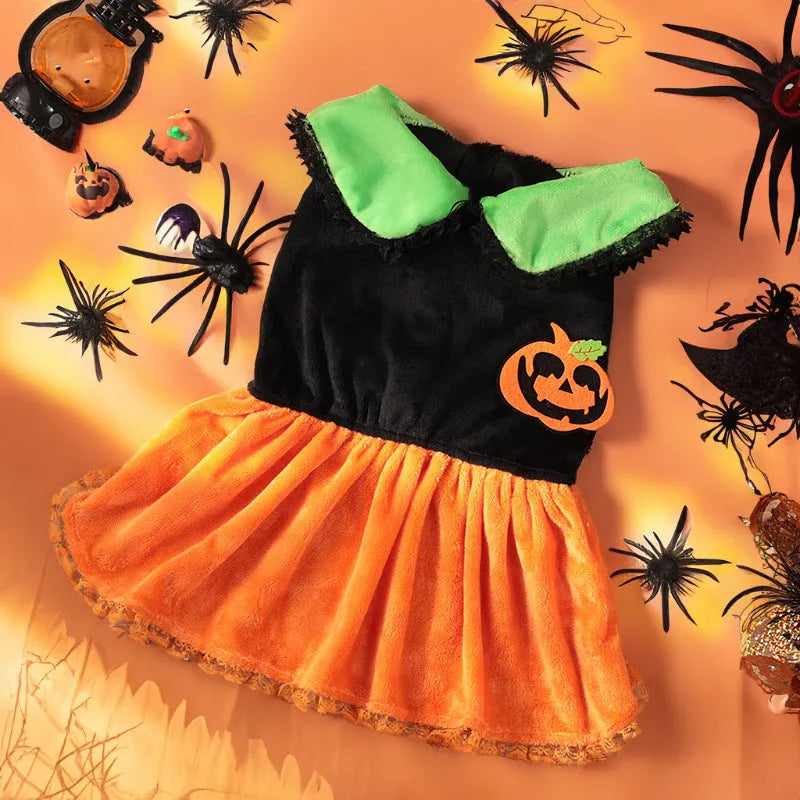 Halloween pumpkin skirt pet costume on a small dog next to a Halloween sweater style variant.