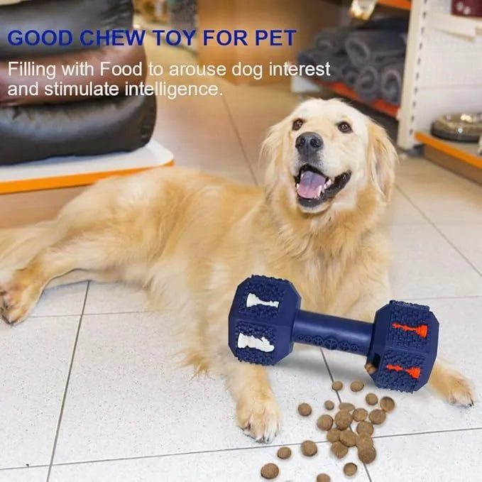 Blue durable rubber dog chew toy shaped like a dumbbell with textured surface.