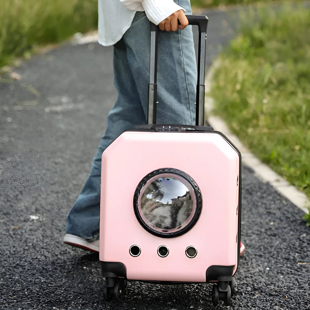 Hard-shell PVC pet trolley case with wheels in orange, pink, white, and wine red colour options.