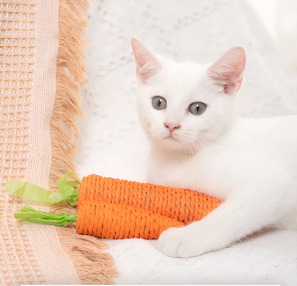 Assortment of cat toys including carrot-shaped bites, crinkly paper toys, ringing stones, sticks, and tooth grinding sticks.