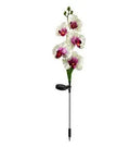 Solar lily festive lantern outdoor garden decor with flower shape design