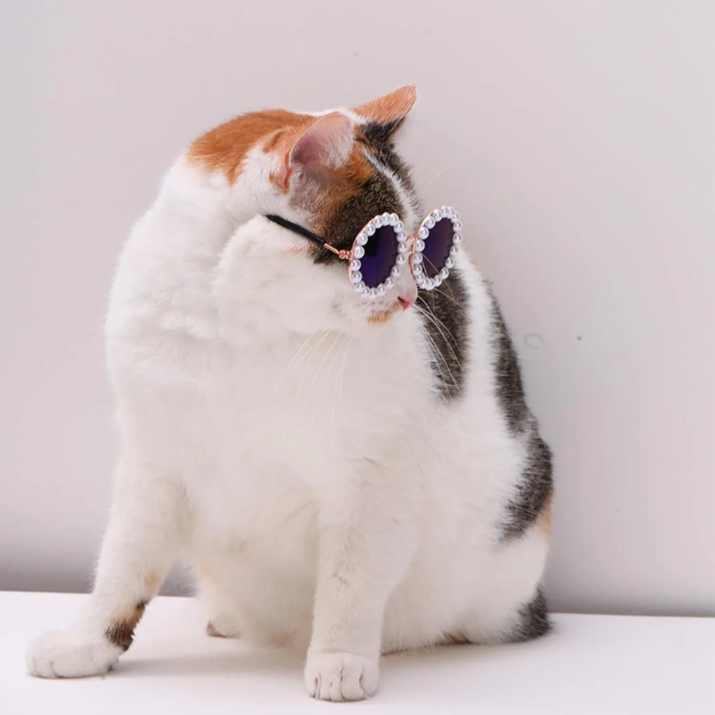 Pearl-rimmed round sunglasses for cats and dogs in multiple colours as costume accessories