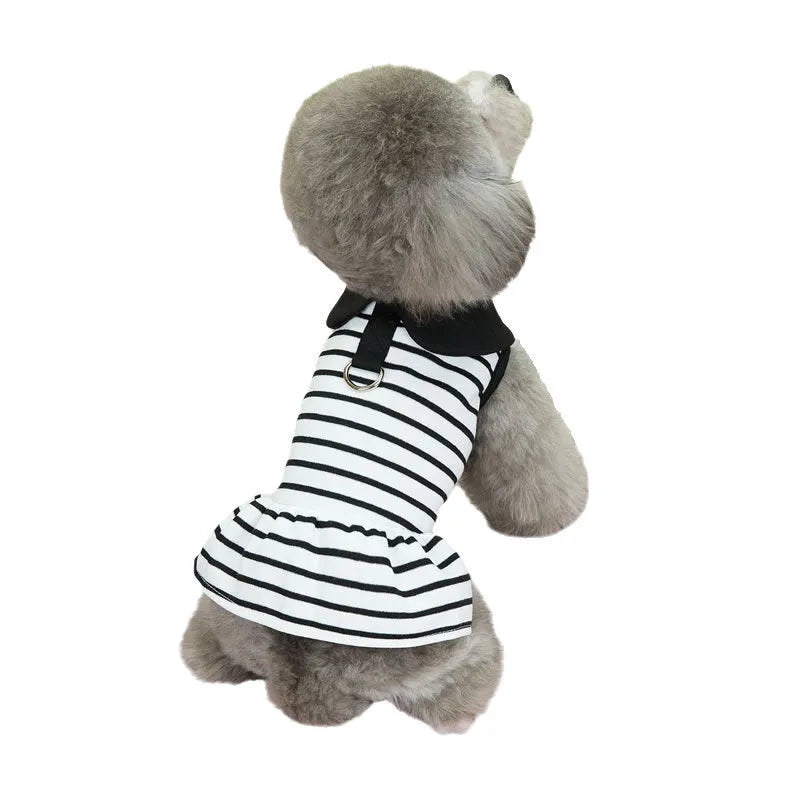 Pet dog wearing cotton summer stripe T-shirt and matching skirt clothing set